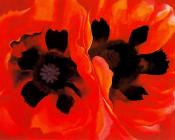 乔治亚奥基夫 - Oriental Poppies